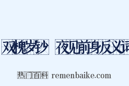 双槐岁钞·夜见前身反义词是什么意思的图片